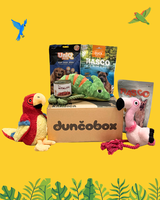 DunčoBox –  Tropical 🦜