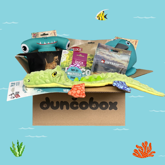 DunčoBox – Vodný svet 🐳