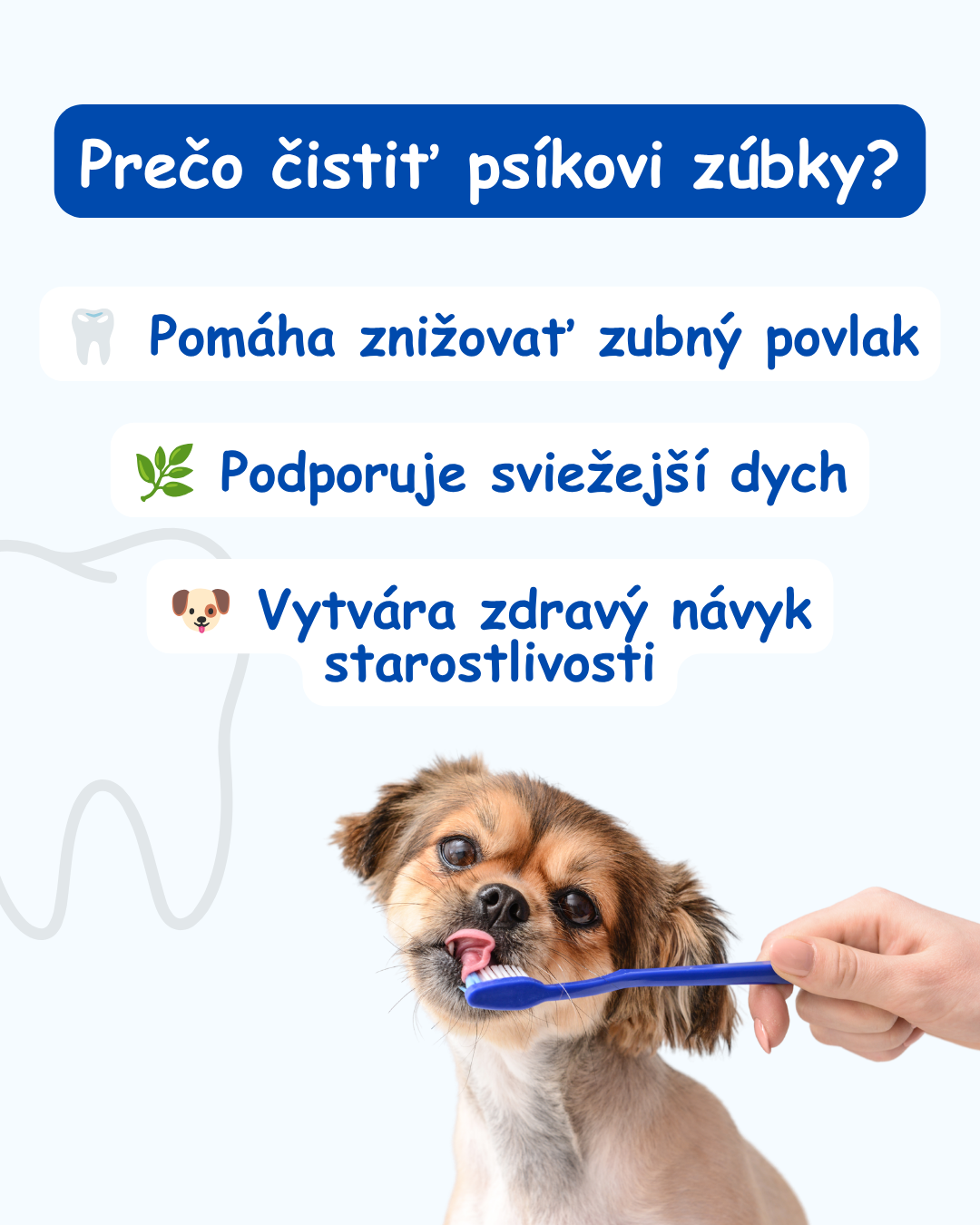 DunčoBox Dental 🦷