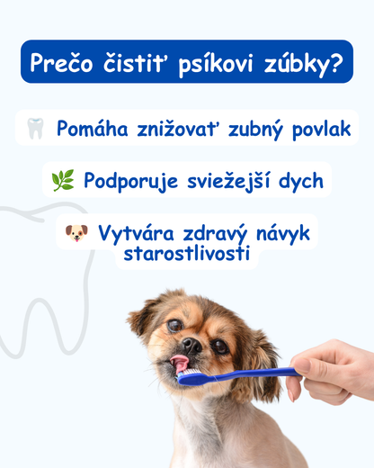 DunčoBox Dental 🦷