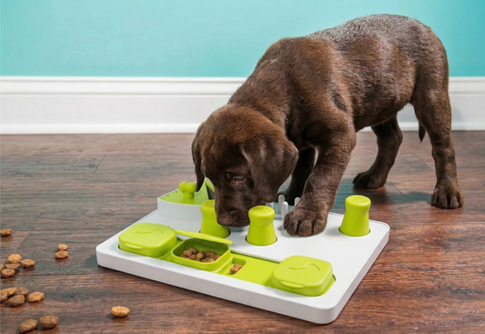 Hračka Epic Pet Think & Eat interaktívna 30cm