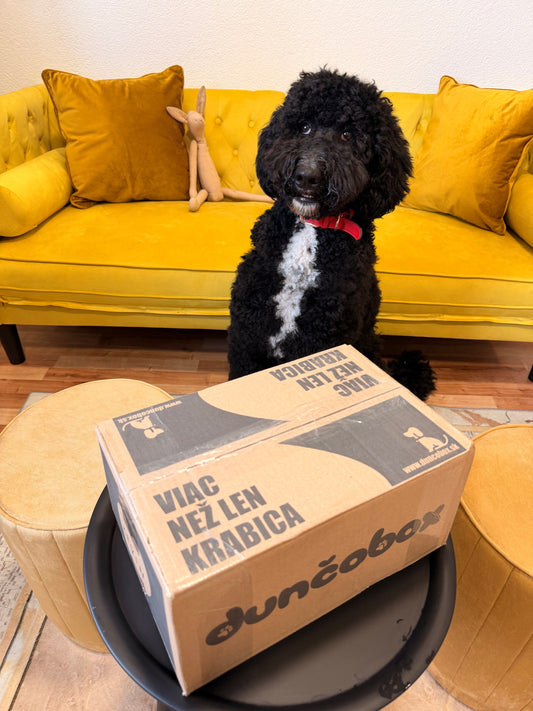 DunčoBox –  MysteryBox❓