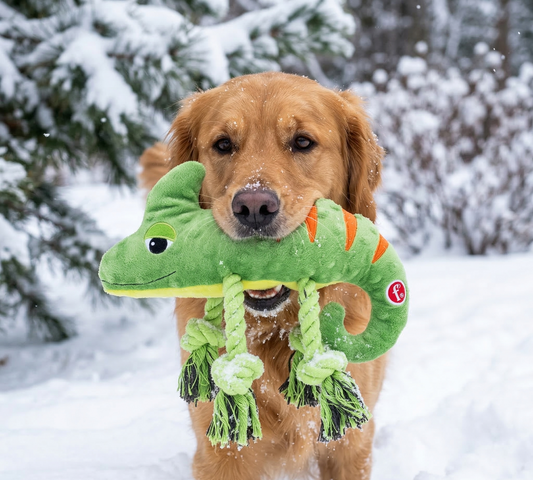 Hračka Dog Fantasy chameleón pískací 28cm
