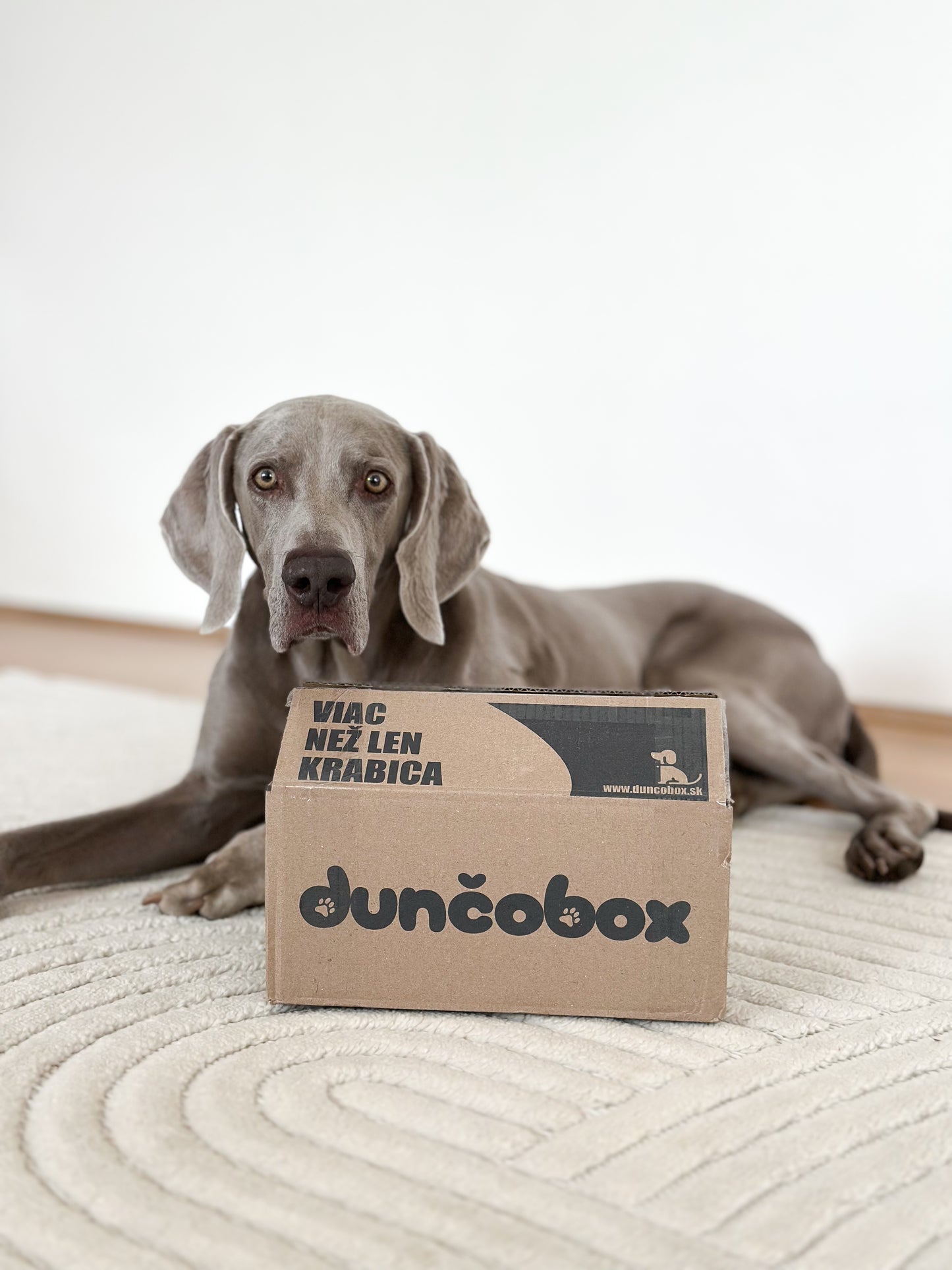 Narodeninový DunčoBox 🎉