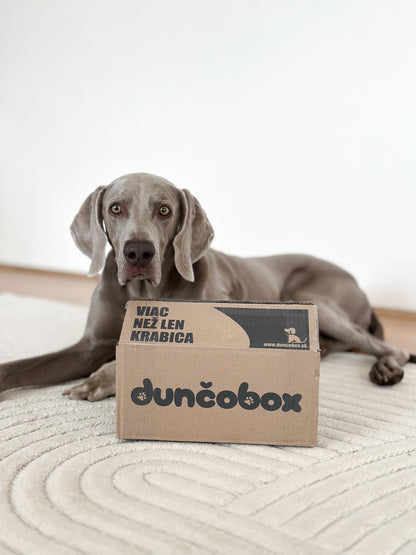 Narodeninový DunčoBox 🎉
