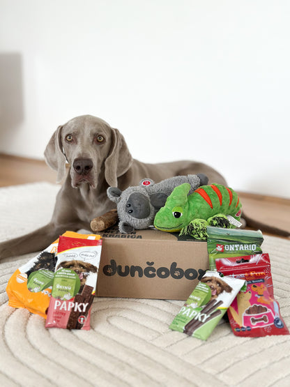Narodeninový DunčoBox 🎉