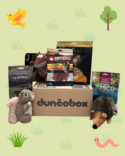 DunčoBox –  Lesní kamaráti 🐿️